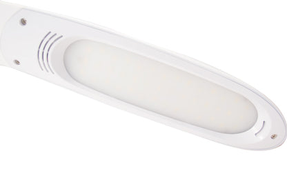 Stella Desk Lamp